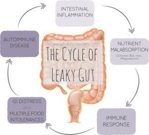 leaky-gut-cycle