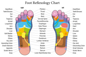 reflexology chart - feet
