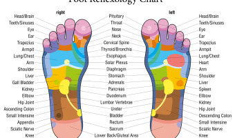 reflexology chart - feet